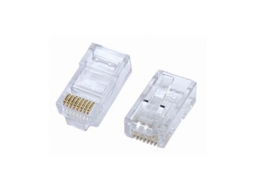 Hạt mạng AMP box