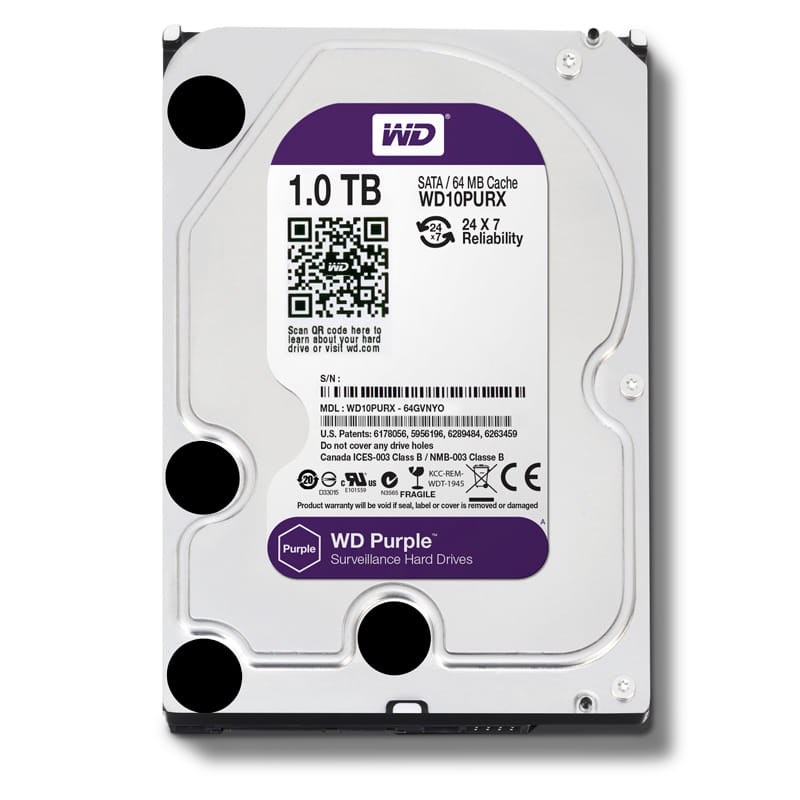 HDD Western 1TB màu tím
