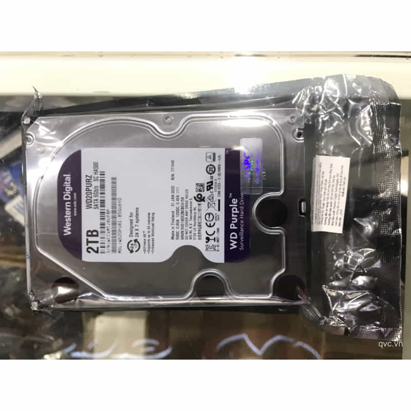 HDD Western 2TB màu tím