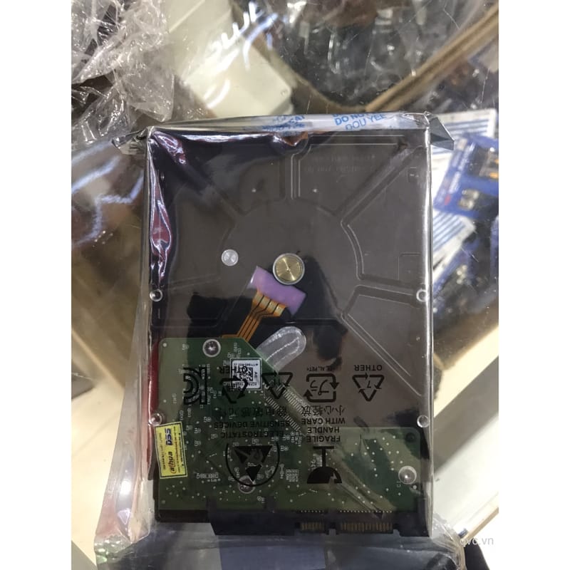 HDD Western 2TB màu tím