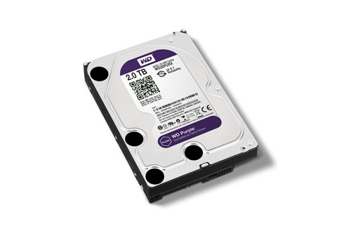 HDD Western 2TB màu tím