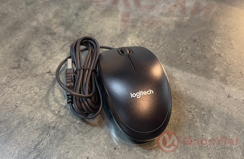 Chuột máy tính Logitech B100