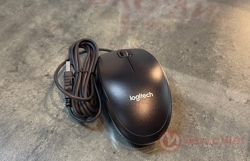 Chuột máy tính Logitech B100