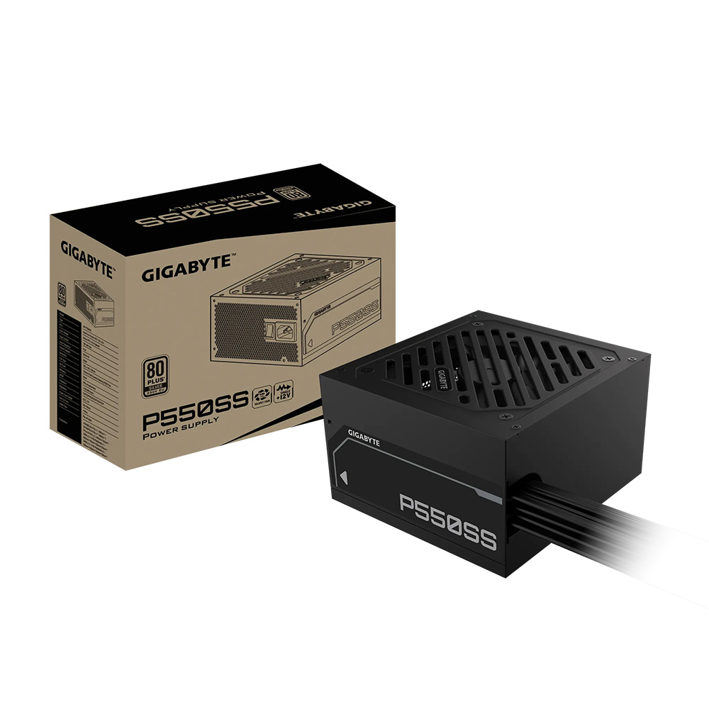 Power Gigabyte P550SS 550w (80 plus Silver, ATX 3.0)