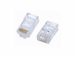 Hạt mạng AMP box