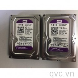 HDD Western 1TB màu tím