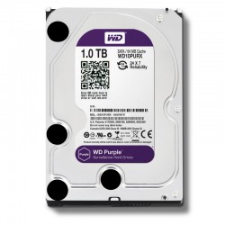HDD Western 1TB màu tím