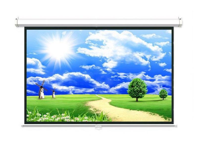 Màn treo tường Dalite 70'' x 70''